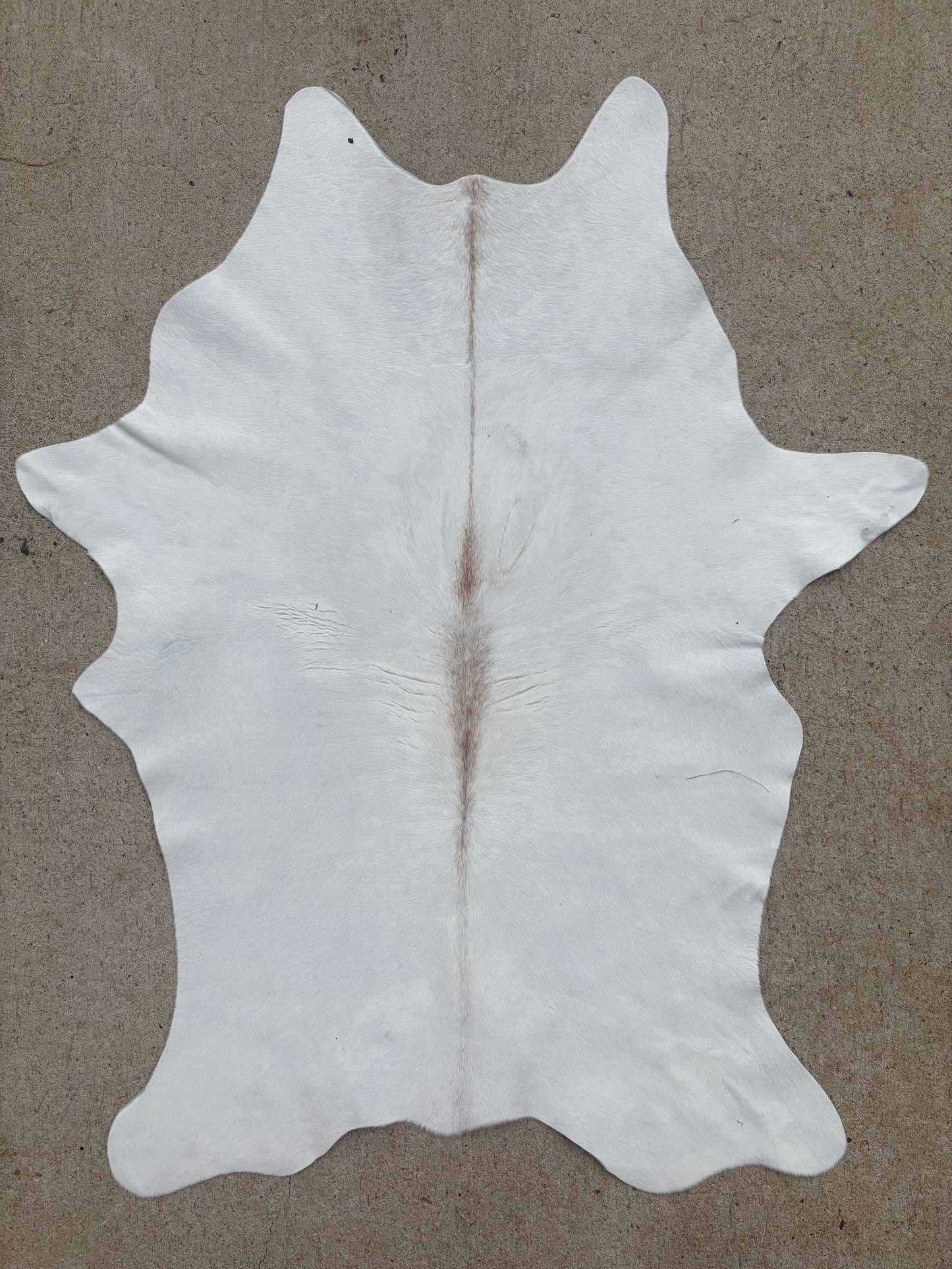 Brazilian Calf Hide 002249