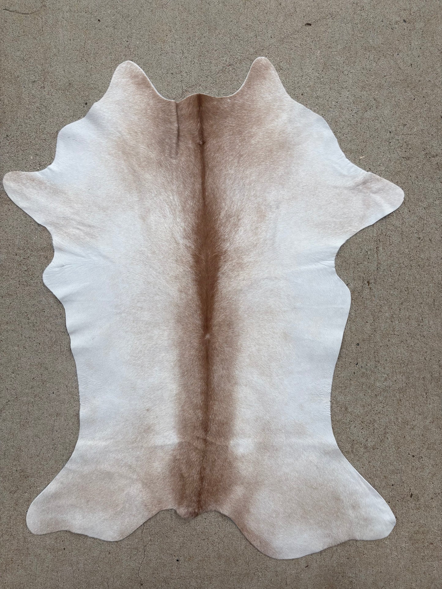 Brazilian Calf Hide 002241