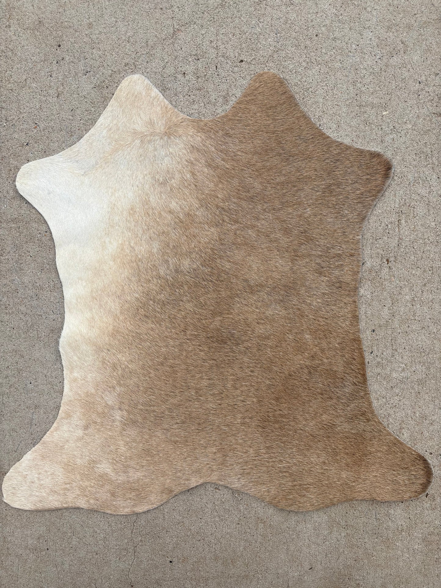 Brazilian Calf Hide 001