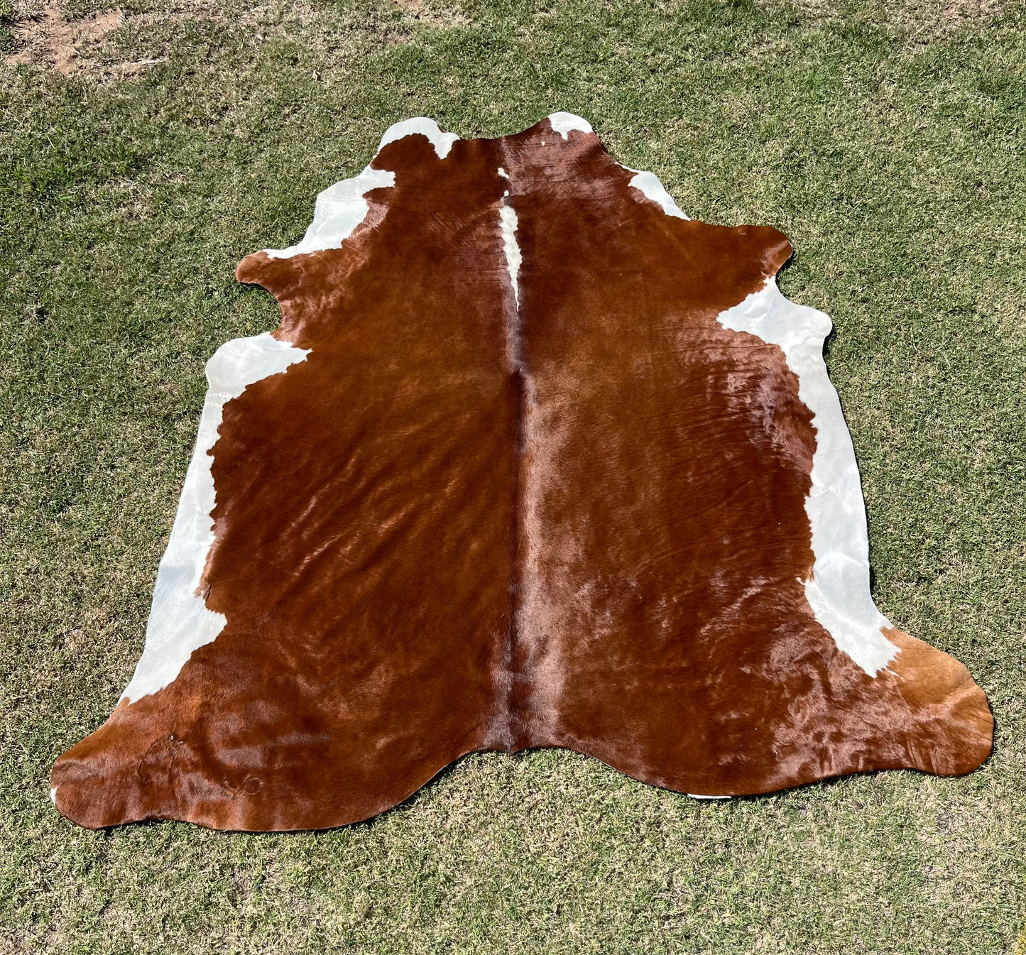 XL Hereford Cowhide Rug