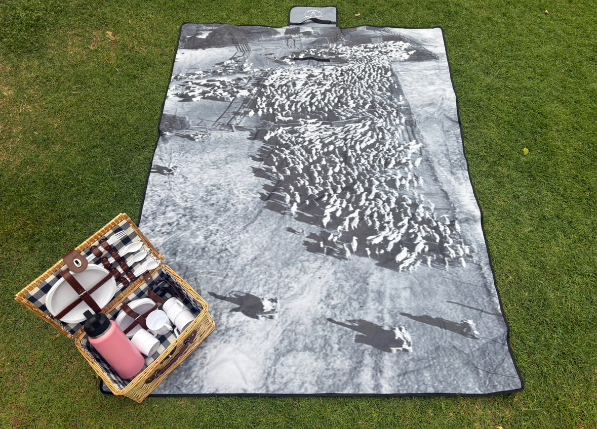 The BIG muster picnic rug