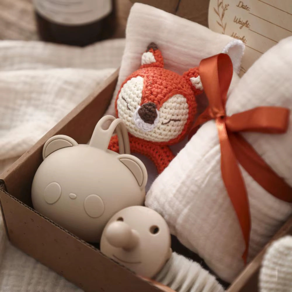 Baby Gift Set