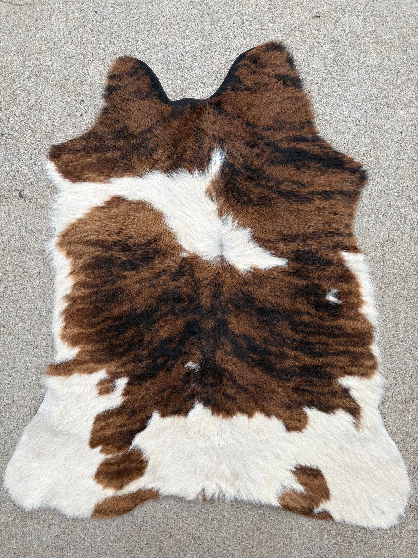 Brazilian Calf Hide 002