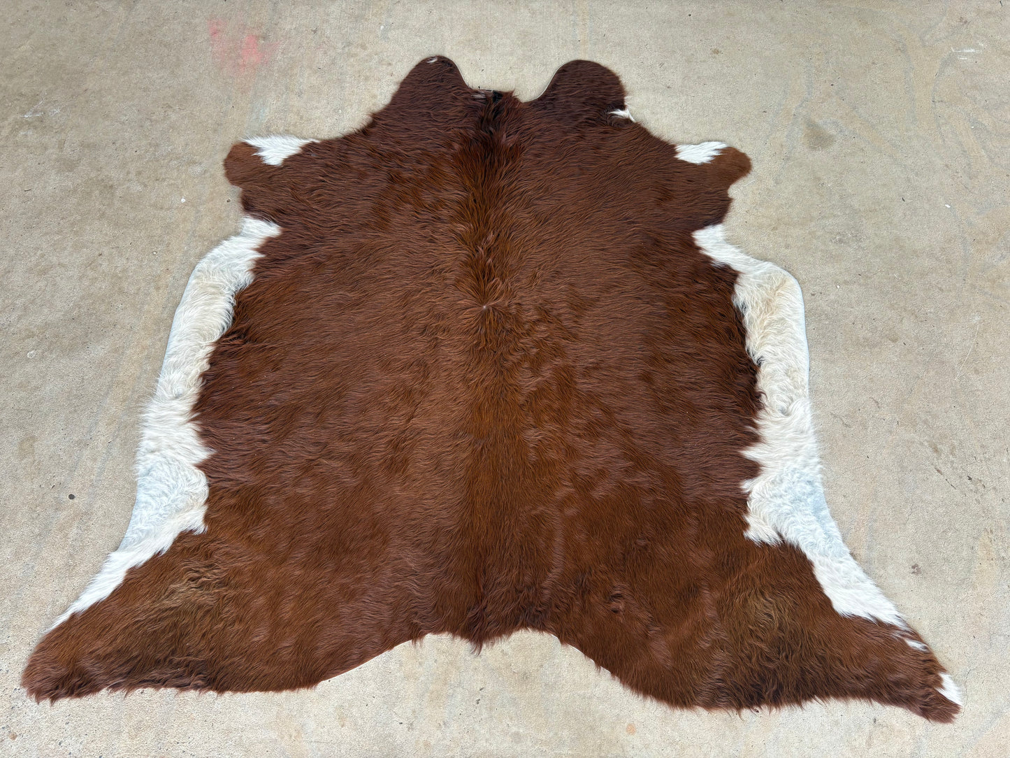 Medium Brazilian Cowhide Rug 004