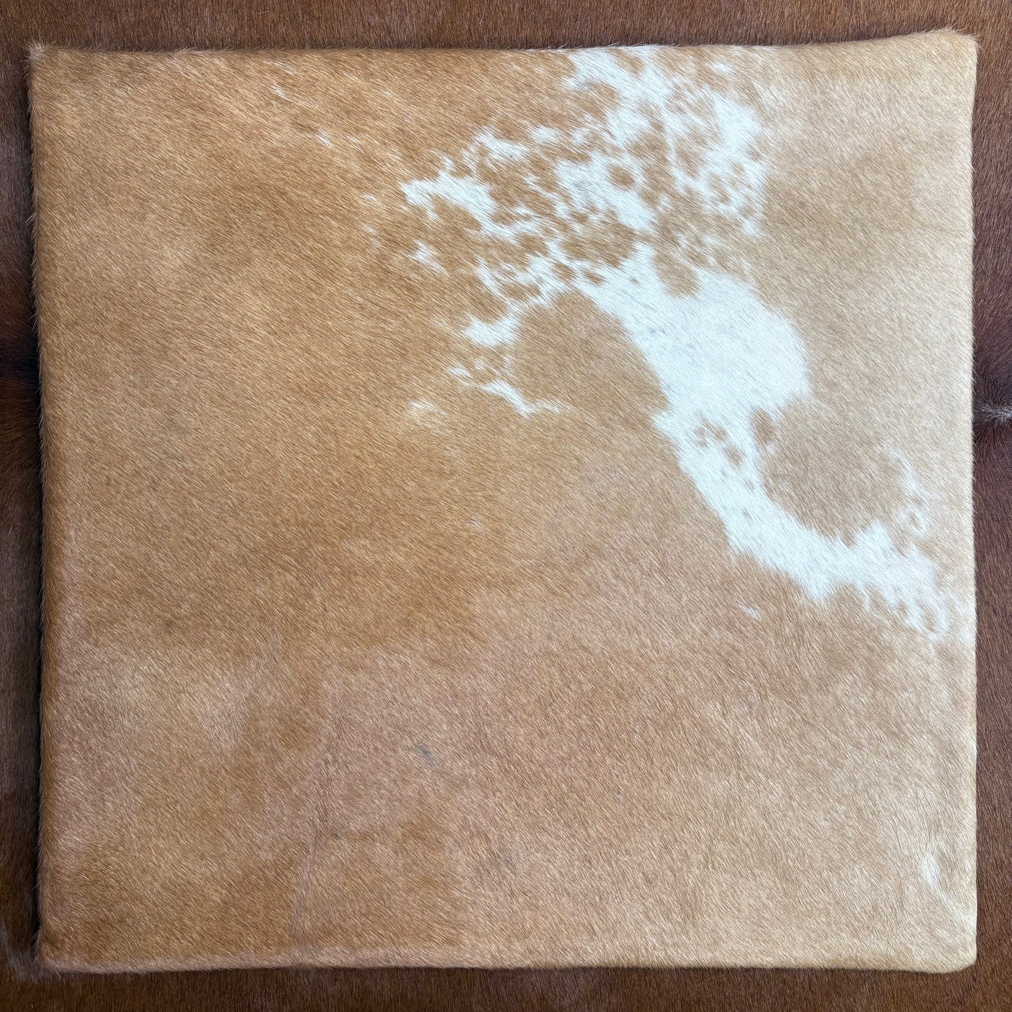 Cowhide Cushion Covers